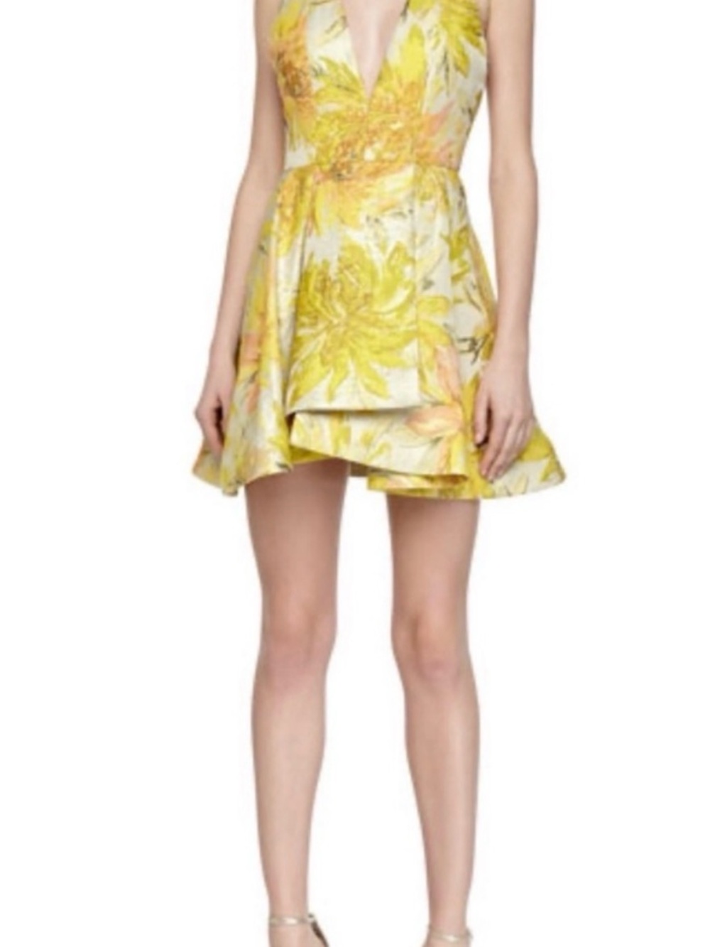 Alice and Olivia tanner dress